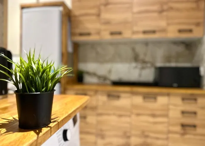 Mmrent Spidey Gdaňsk