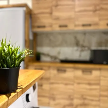 Mmrent Spidey Gdansk